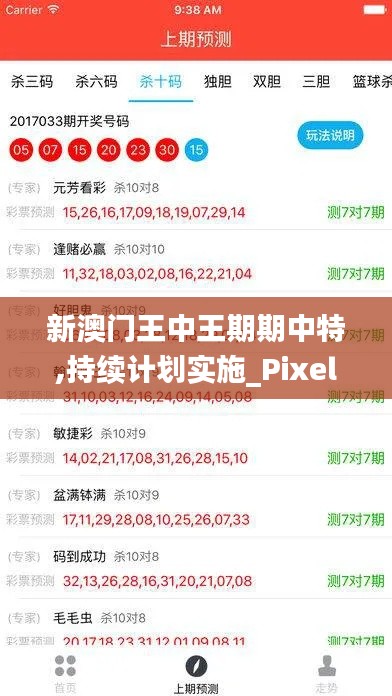 新澳门王中王期期中特,持续计划实施_Pixel2.191