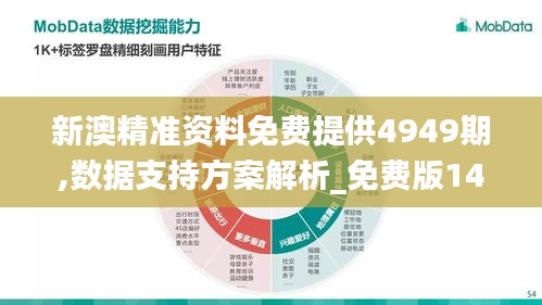 新澳精准资料免费提供4949期,数据支持方案解析_免费版14.665