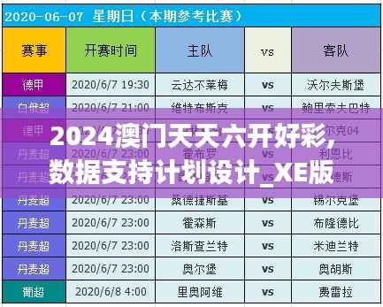 2024澳门天天六开好彩,数据支持计划设计_XE版8.931