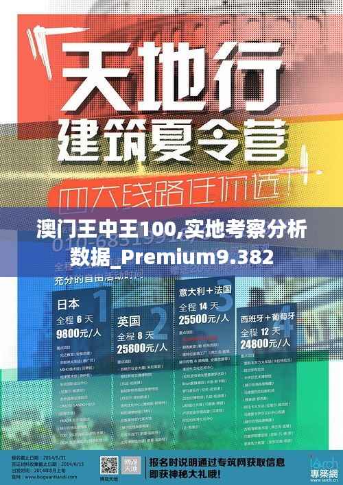 澳门王中王100,实地考察分析数据_Premium9.382