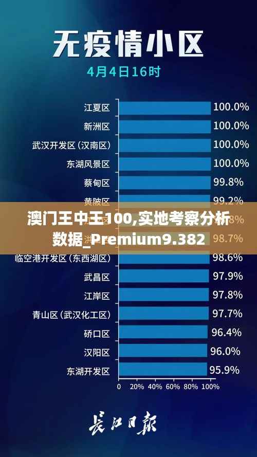 澳门王中王100,实地考察分析数据_Premium9.382