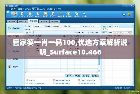 管家婆一肖一码100,优选方案解析说明_Surface10.466