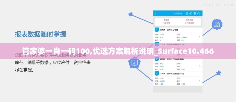 管家婆一肖一码100,优选方案解析说明_Surface10.466
