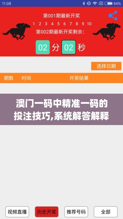 澳门一码中精准一码的投注技巧,系统解答解释落实_网页版6.125
