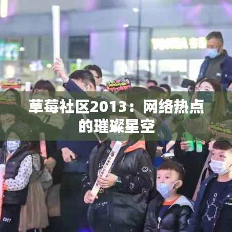 草莓社区2013:网络热点的璀璨星空