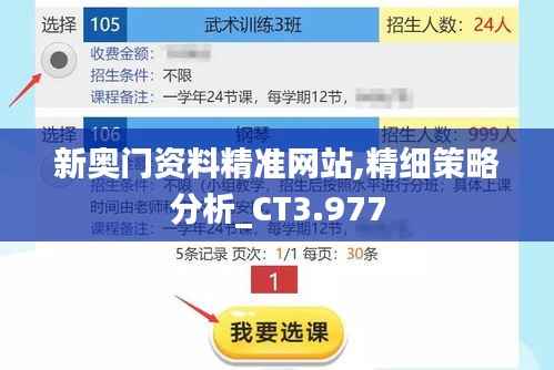 新奥门资料精准网站,精细策略分析_CT3.977