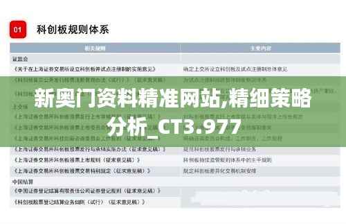 新奥门资料精准网站,精细策略分析_CT3.977