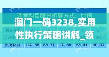 澳门一码3238,实用性执行策略讲解_领航版7.947
