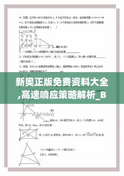 新奥正版免费资料大全,高速响应策略解析_BT5.221