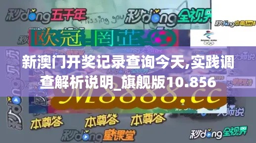 新澳门开奖记录查询今天,实践调查解析说明_旗舰版10.856