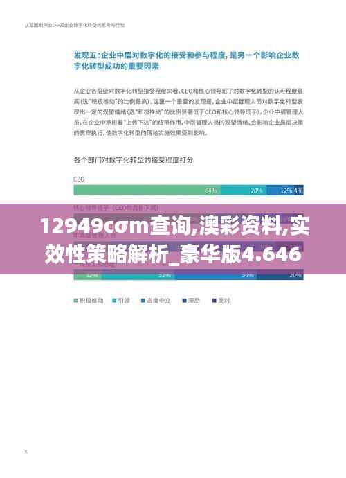 12949cσm查询,澳彩资料,实效性策略解析_豪华版4.646