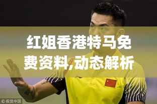 红姐香港特马免费资料,动态解析词汇_创新版10.634