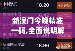 新澳门今晚精准一码,全面说明解析_WearOS7.410