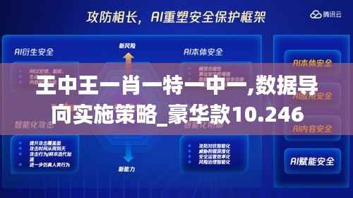 王中王一肖一特一中一,数据导向实施策略_豪华款10.246