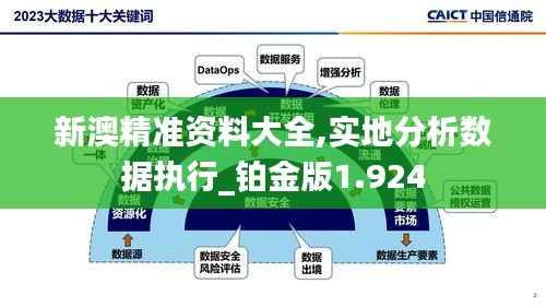 新澳精准资料大全,实地分析数据执行_铂金版1.924