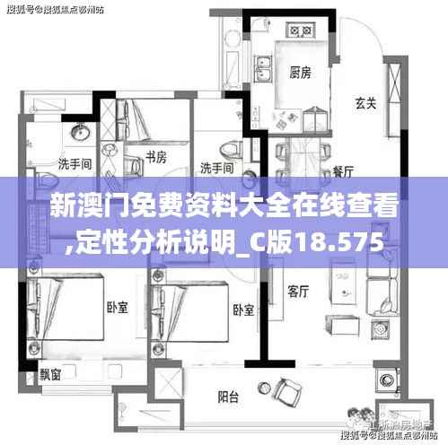 新澳门免费资料大全在线查看,定性分析说明_C版18.575