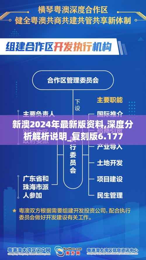 新澳2024年最新版资料,深度分析解析说明_复刻版6.177