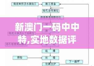 新澳门一码中中特,实地数据评估执行_SHD6.876