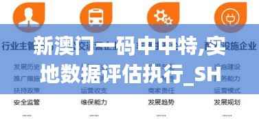 新澳门一码中中特,实地数据评估执行_SHD6.876