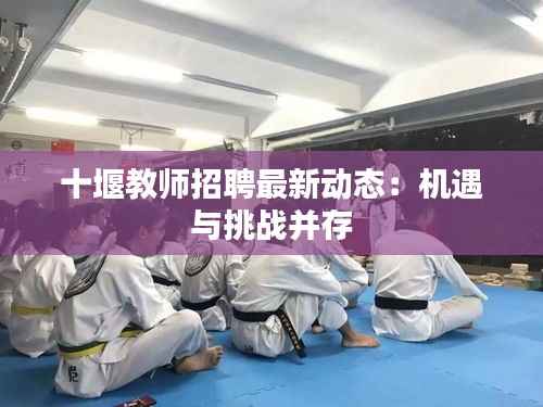 十堰教师招聘最新动态:机遇与挑战并存