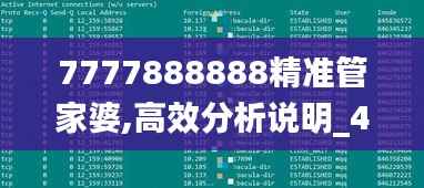 7777888888精准管家婆,高效分析说明_4DM5.841