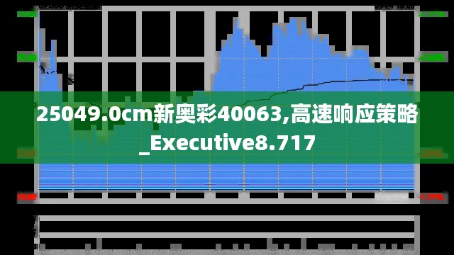 25049.0cm新奥彩40063,高速响应策略_Executive8.717