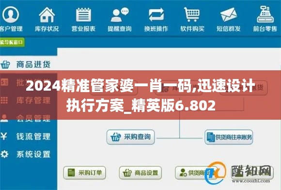 2024精准管家婆一肖一码,迅速设计执行方案_精英版6.802
