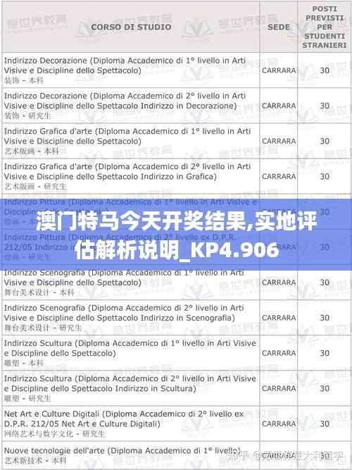 澳门特马今天开奖结果,实地评估解析说明_KP4.906