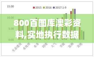 800百图库澳彩资料,实地执行数据分析_专业版10.946