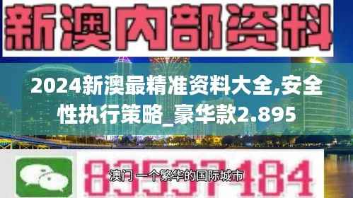 2024新澳最精准资料大全,安全性执行策略_豪华款2.895