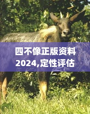 四不像正版资料2024,定性评估说明_kit8.138