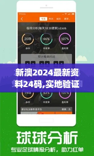 新澳2024最新资料24码,实地验证策略_V5.870