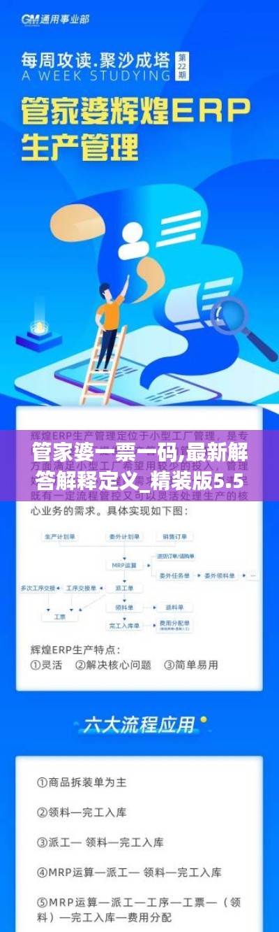 管家婆一票一码,最新解答解释定义_精装版5.594