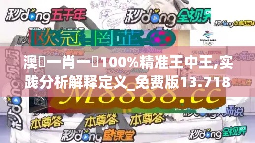 澳門一肖一碼100%精准王中王,实践分析解释定义_免费版13.718