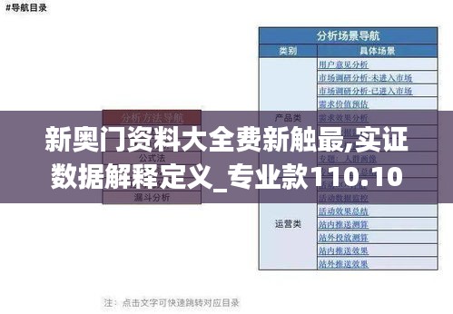 新奥门资料大全费新触最,实证数据解释定义_专业款110.101