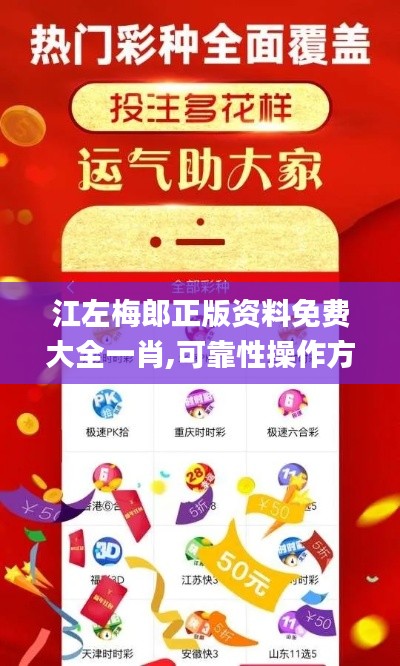 江左梅郎正版资料免费大全一肖,可靠性操作方案_VE版7.941