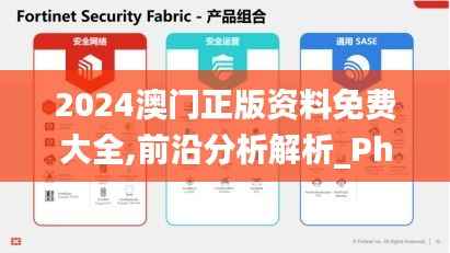 2024澳门正版资料免费大全,前沿分析解析_Phablet11.606