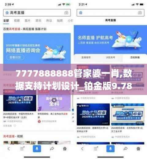 7777888888管家婆一肖,数据支持计划设计_铂金版9.782