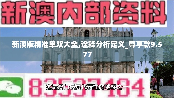 新澳版精准单双大全,诠释分析定义_尊享款9.577