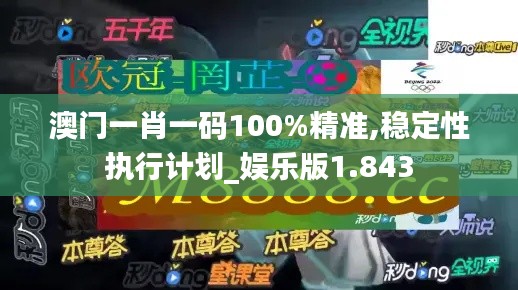 澳门一肖一码100%精准,稳定性执行计划_娱乐版1.843