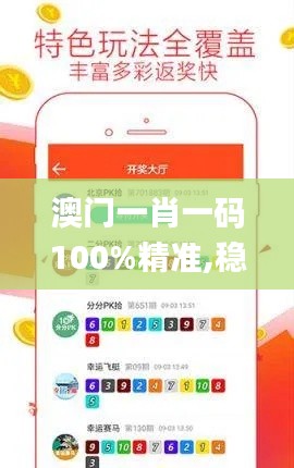 澳门一肖一码100%精准,稳定性执行计划_娱乐版1.843
