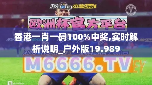 香港一肖一码100%中奖,实时解析说明_户外版19.989