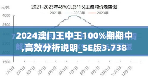 2024澳门王中王100%期期中,高效分析说明_SE版3.738