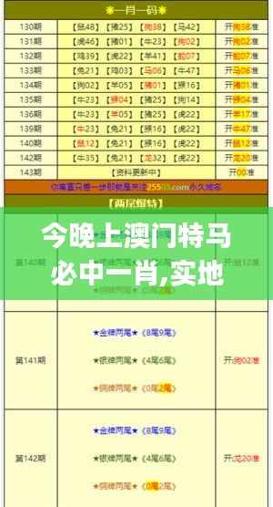 今晚上澳门特马必中一肖,实地评估数据方案_XE版1.524