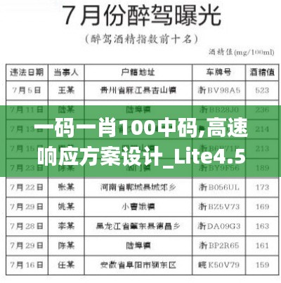 一码一肖100中码,高速响应方案设计_Lite4.523