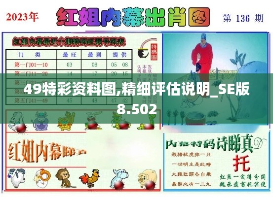 49特彩资料图,精细评估说明_SE版8.502