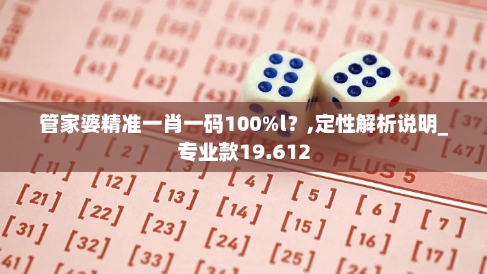 管家婆精准一肖一码100%l?,定性解析说明_专业款19.612