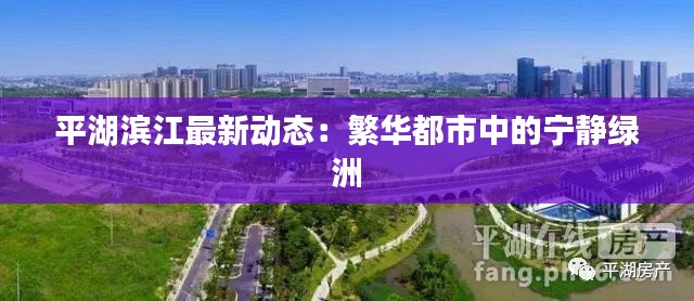 平湖滨江最新动态:繁华都市中的宁静绿洲