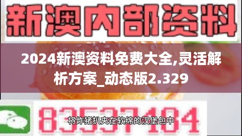 2024新澳资料免费大全,灵活解析方案_动态版2.329