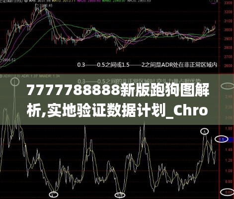 7777788888新版跑狗图解析,实地验证数据计划_ChromeOS4.514